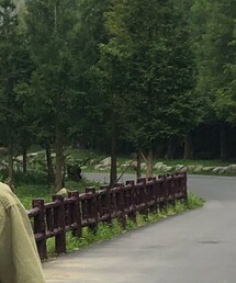 bape | サングラス