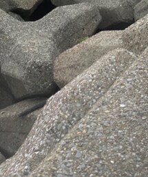 安全靴 | その他シューズ