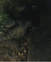 UNIQLO | ショルダーバッグ