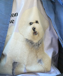 HANES | Tシャツ/カットソー