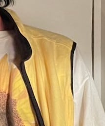 Eddie Bauer | ベスト