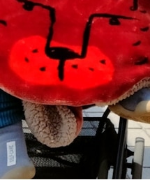 studio CLIP | ブランケット