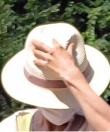 帽子屋FLAVA | ハット