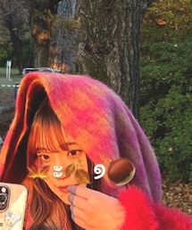 URBAN RESEARCH | チドリガラストール(ストール/ショール)