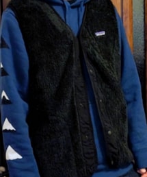 patagonia | ベスト
