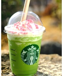 うさこのスウィーツ同盟会 | 　石の上にもサクラサク抹茶フラペチーノ・・・・・・何故っ！？(その他)