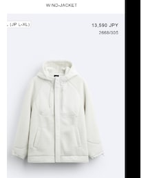 ZARA | その他アウター