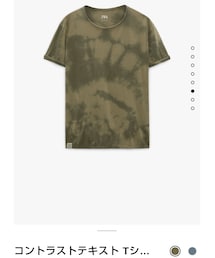 ZARA | Tシャツ/カットソー