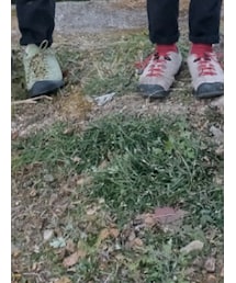 KEEN | スニーカー