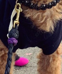 laguna clothing | パーカー