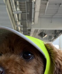 I.M.Gallery | キャップ