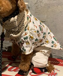 MANDARINE BROTHERS | シャツ/ブラウス