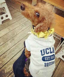 laguna clothing | パーカー