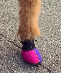 wandaway | ブーツ