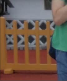 ROXY | Tシャツ/カットソー