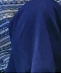 Dickies | チノパンツ