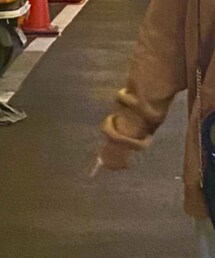 ZARA | ショルダーバッグ