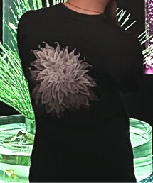 Yohji Yamamoto POUR HOMME | Tシャツ/カットソー