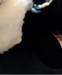 ハリーポッター | トップス