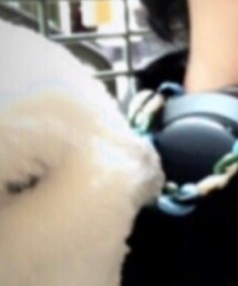 ハリーポッター | おもちゃ