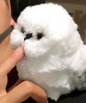 no brand(ノーブランド)の「雑貨/ホビー(おもちゃ)」