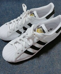 adidas | adidasスーパースター(スニーカー)