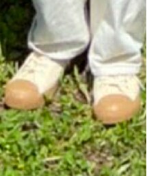 studio CLIP | スニーカー