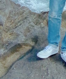 VANS | スニーカー