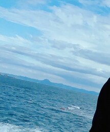 TOM FORD EYEWEAR | サングラス