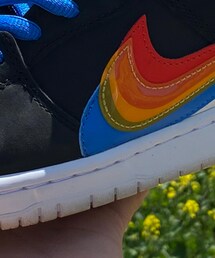 NIKE SB | スニーカー
