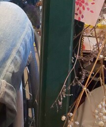 UNIQLO | デニムパンツ