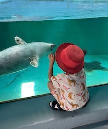 水族館行ったよ | その他