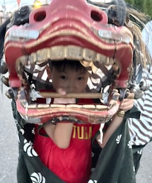 憧れの獅子舞2 | 被って動かすのが教えてもらったよ(その他)