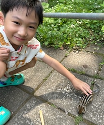 リス触ったよ | 人に慣れてるリス🐿️で居ないなーと思ったら足元で手を広げてアピールしてた。(その他)