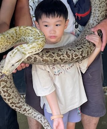 動物園で触れ合い | ワニ。(その他)