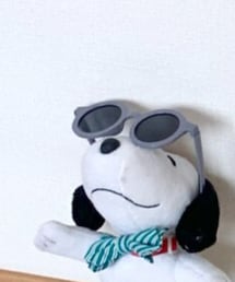 ダイソー | サングラス
