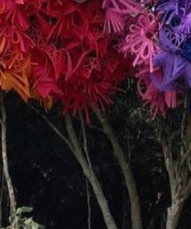 Ig:___j.u.nienie___ | ファッション雑貨