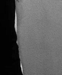 fear of god essentials | スウェットパンツ