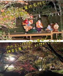 紅葉見物🍁 | 夜の紅葉🍁と神楽演舞✨️(その他)
