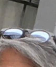 ALBA OPTICS | サングラス