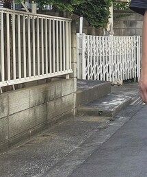 ZARA | ショルダーバッグ