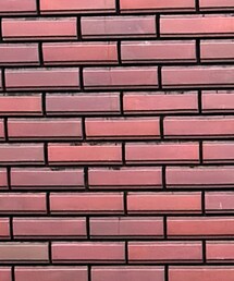 TOMMY HILFIGER | Tシャツ/カットソー