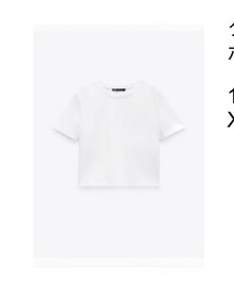 ZARA | Tシャツ/カットソー