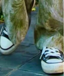 CONVERSE | スニーカー