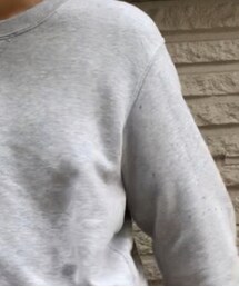 UNIQLO | スウェット