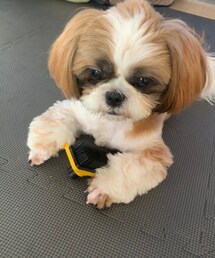 お顔本当はかわいいんです🥺 | ラッピングキット