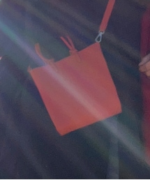 ZARA | ショルダーバッグ