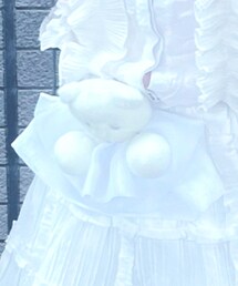 ペヘモリッケ | ベルト