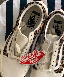 VANS | スニーカー