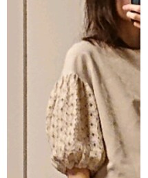 ROPE' PICNIC | Tシャツ/カットソー